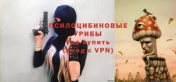 дмт Аркадак