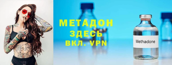 прущие грибы Корсаков
