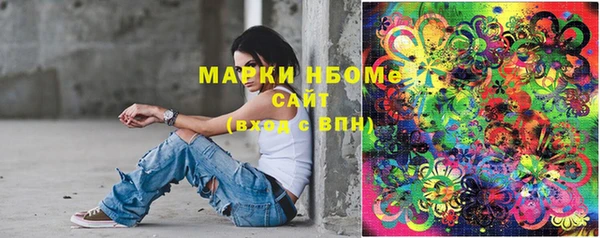 крисы Козловка
