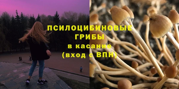 прущая мука Армянск