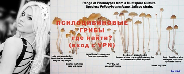 PSILOCYBIN Арсеньев
