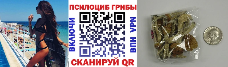 кракен как зайти Москва Галлюциногенные грибы прущие грибы